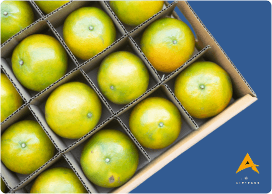 امکانات لازم برای تاسیس تولیدی کارتن میوه 
